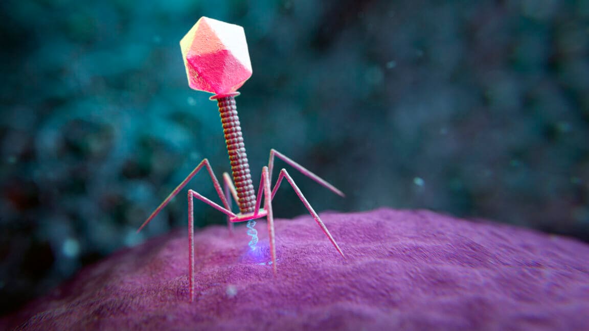 AI Models Now Generate Functional Viral Genomes