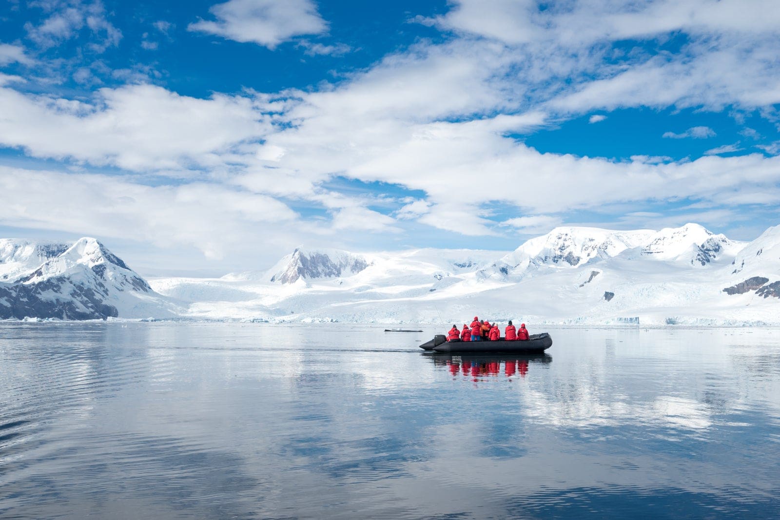The Moral Weight of Ice: Why Antarctic Tour Guides Walk Away