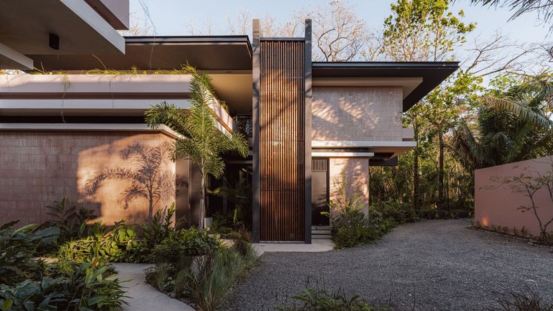 Architecture as Frame: A Jungle House Built From Lines and Light