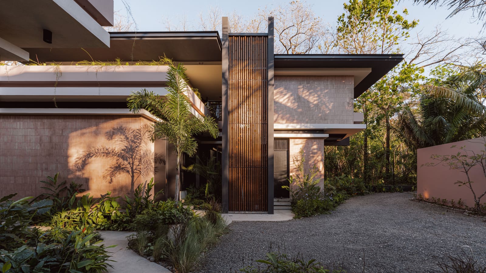 Architecture as Frame: A Jungle House Built From Lines and Light