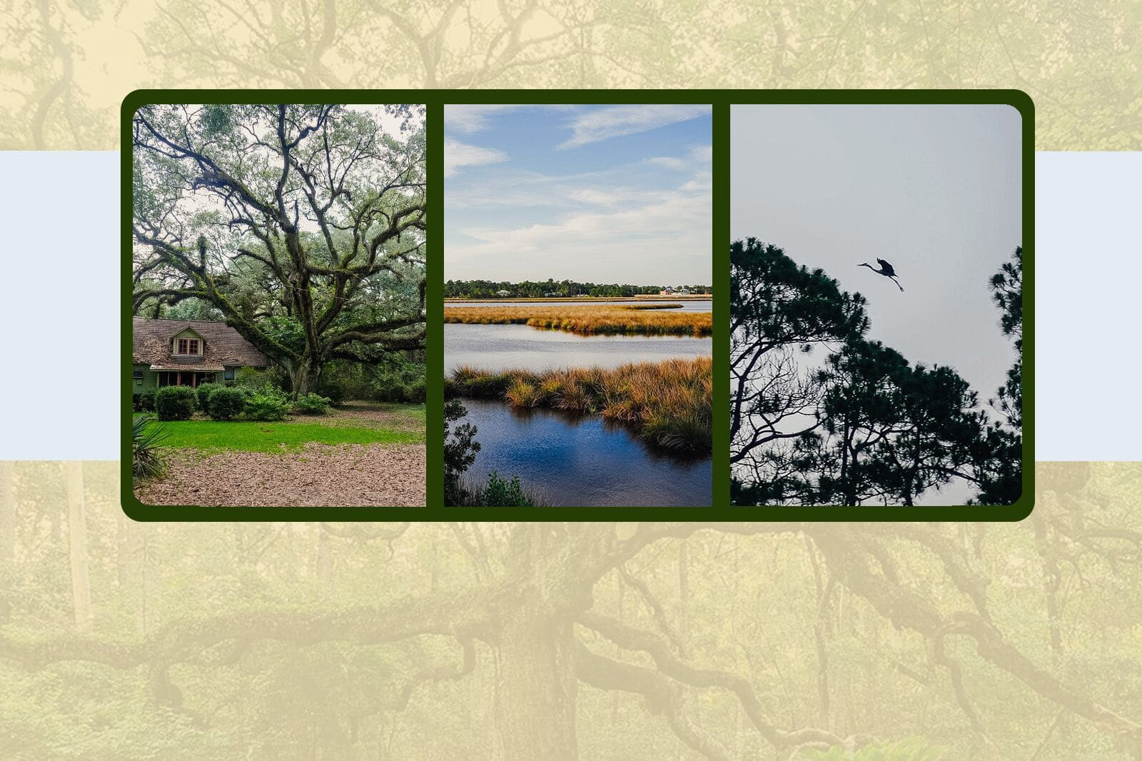 Where Art Meets Wetlands on Mississippi's Quiet Coast