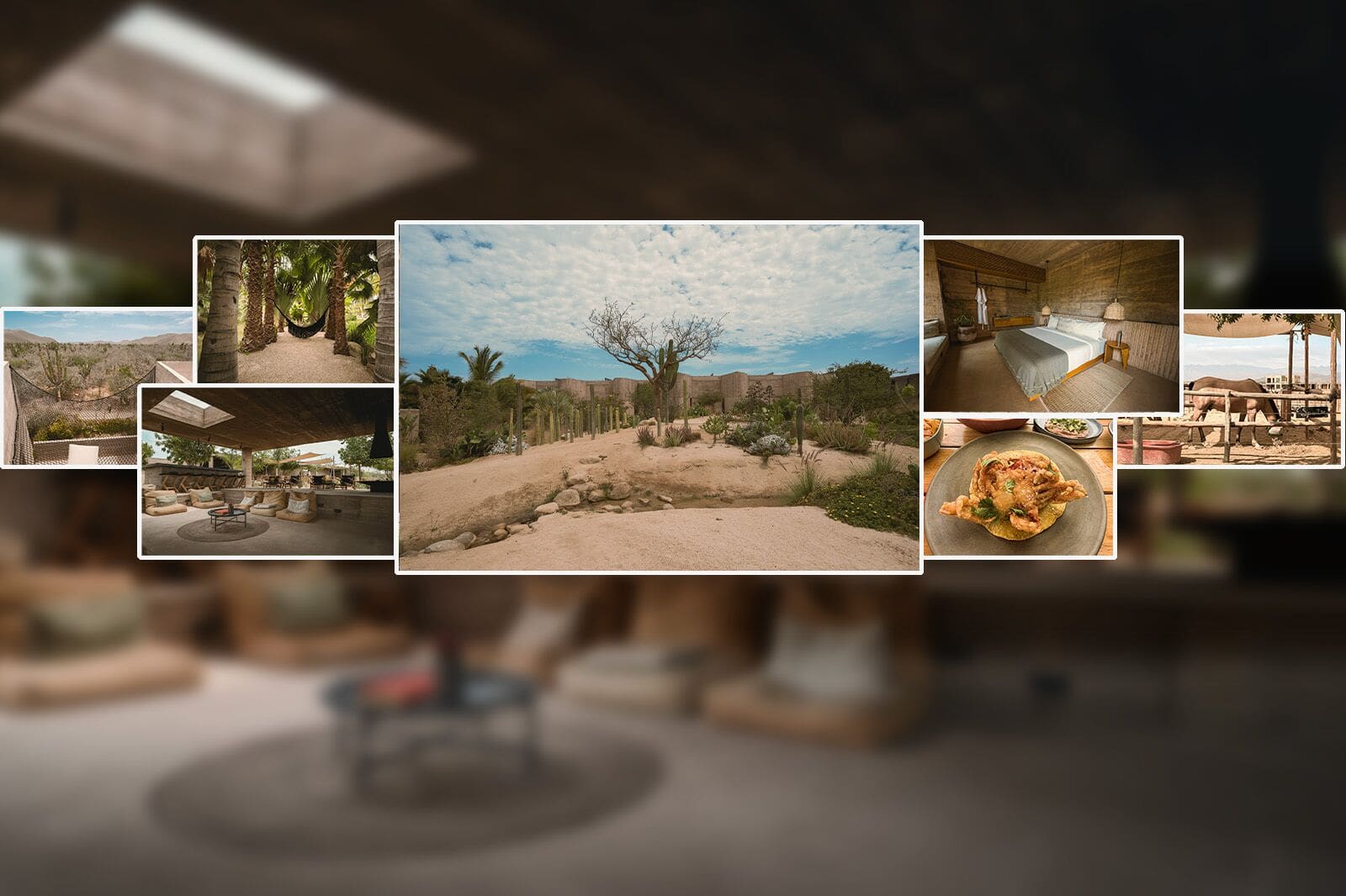 A Baja Hotel That Sends Guests Into the Desert, Not the Spa
