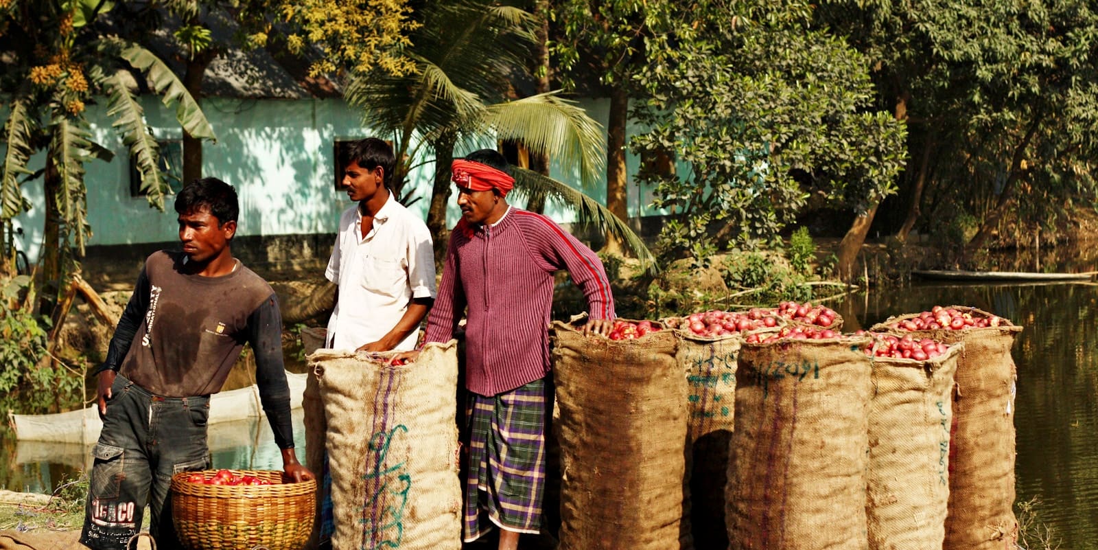 Bangladesh's Jute Mandate Fails to Displace Plastic in Packaging