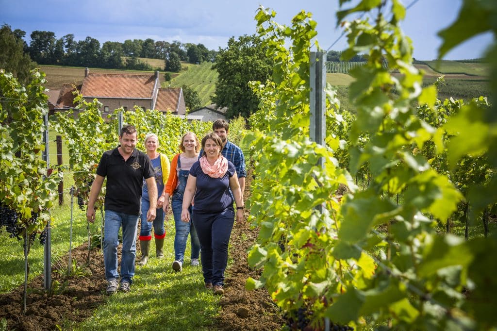 Belgian Wine Region Opens Vineyards for Four Weekends of Public Tastings