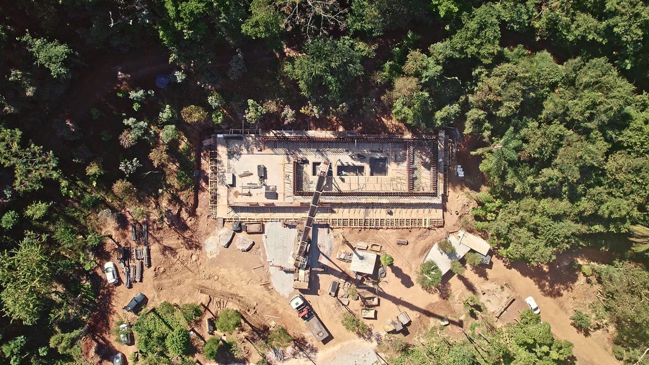 The Forest Builder Who Refuses to Wait