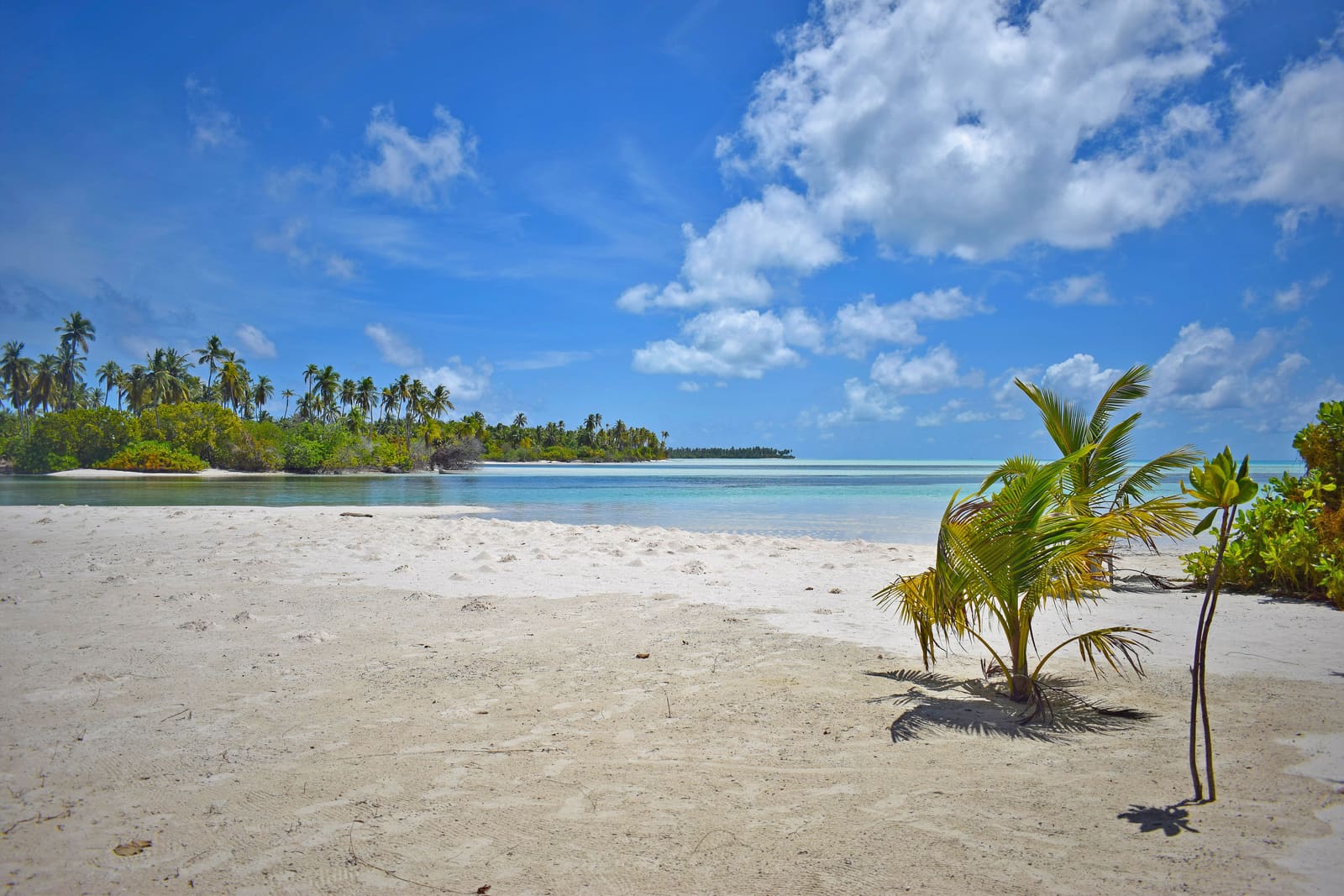 Beyond the Overwater Villa: Rethinking the Maldives