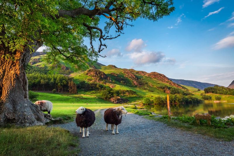 Beyond Windermere: Six Lake District Bases Worth Your Time