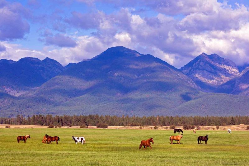 Where Mountain Grandeur Meets Modern Refinement in Montana