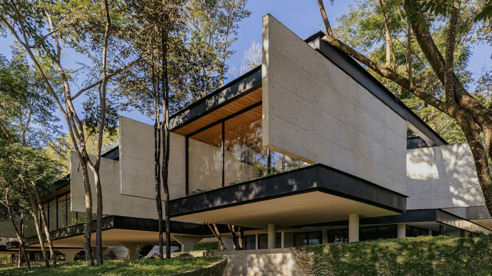 Building Around Trees: A Brazilian House That Bends Its Form to Save the Forest