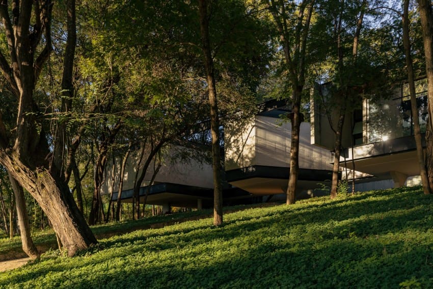 Building Between the Branches: A Brazilian House Shaped by Existing Trees