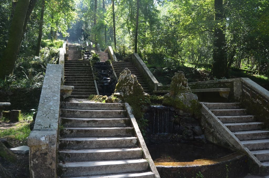 Bussaco Forest in Central Portugal Earns First Healing Forest Certification in Southern Europe