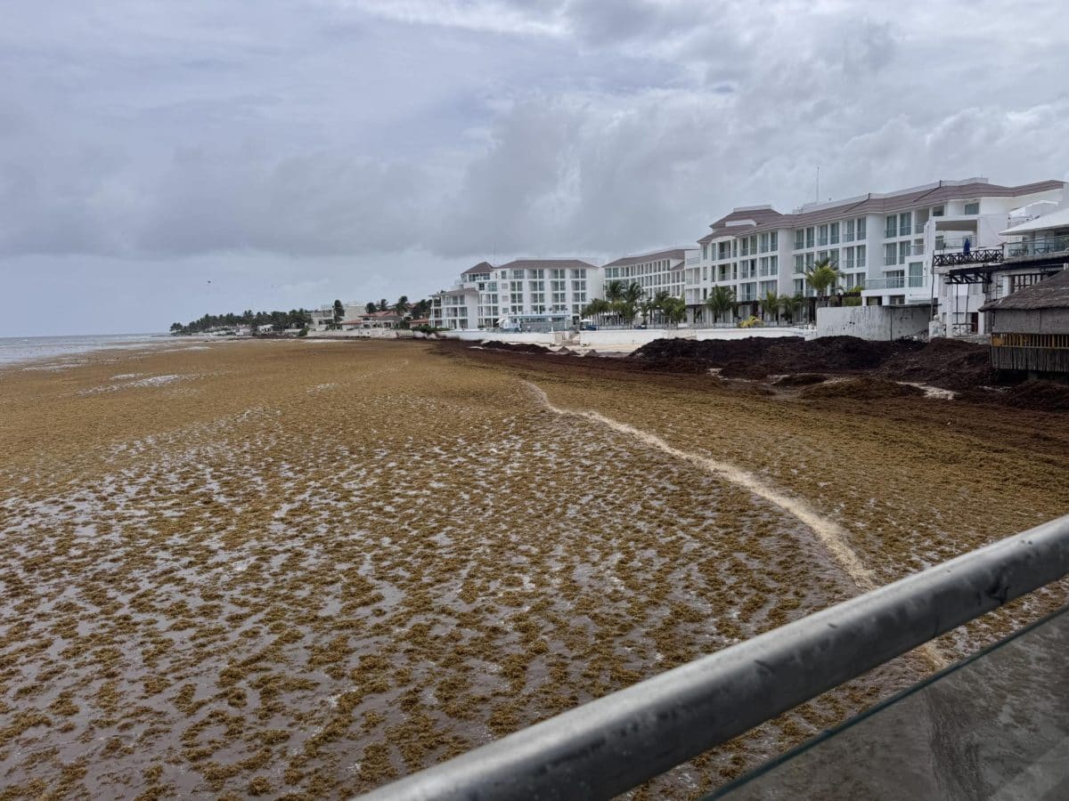Dispatch