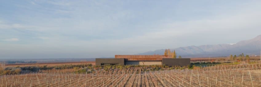 Concrete and Contour: A Winery That Reads the Land