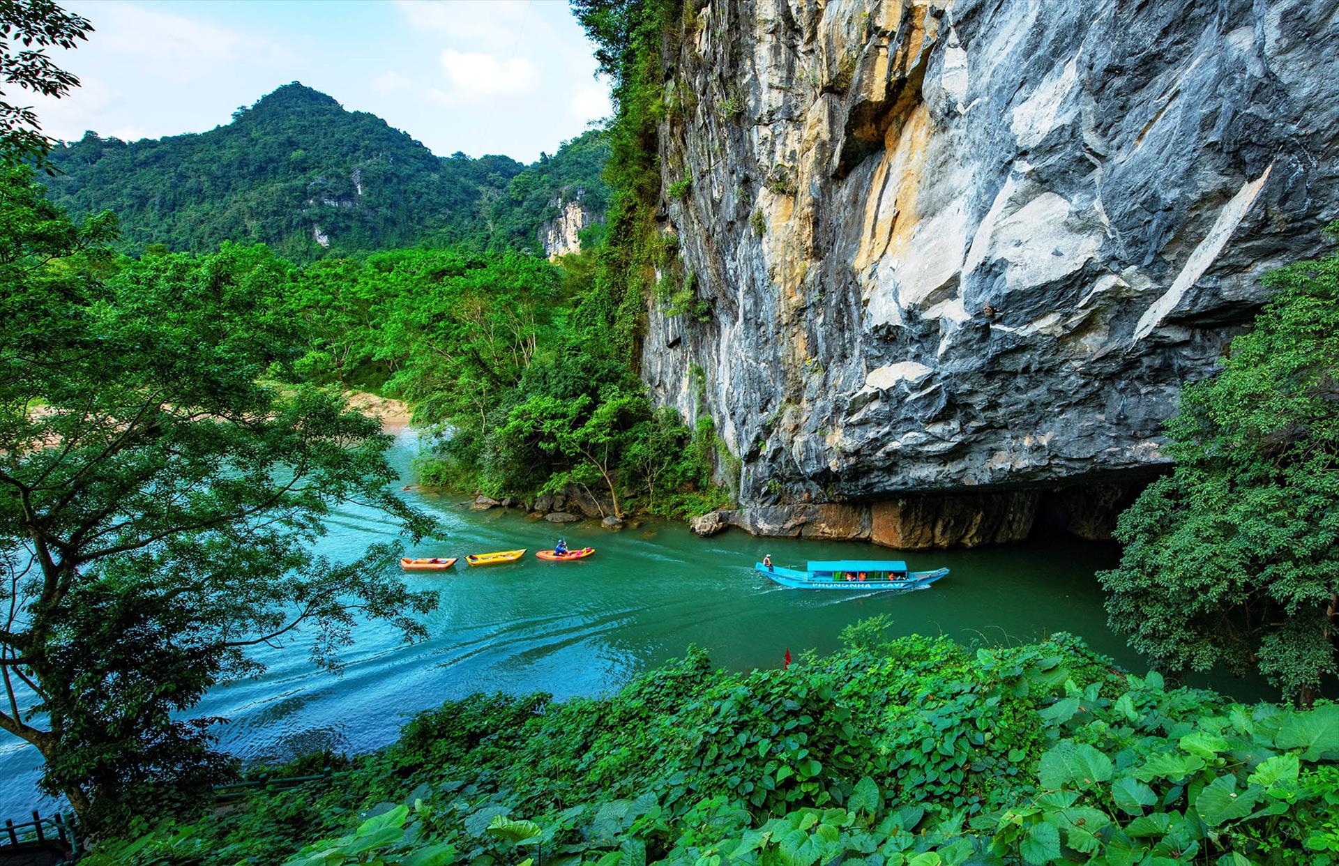 Forest Immersion: Destinations Rooted In Nature And Stillness