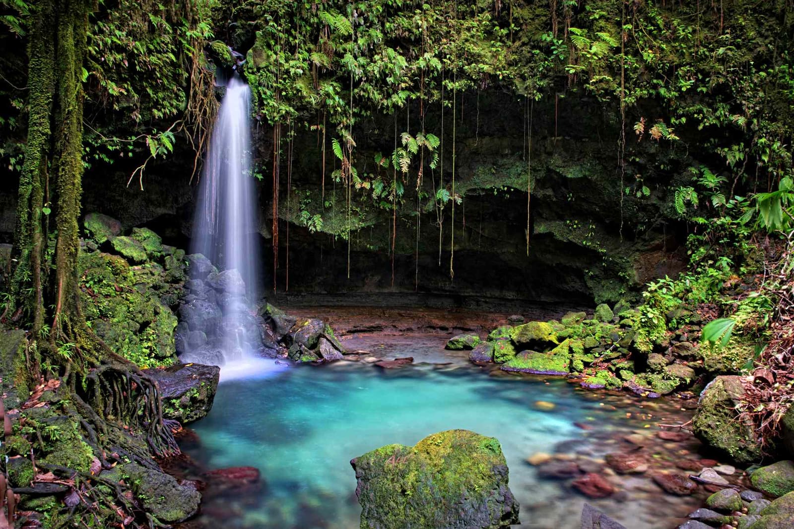 Dominica Rises to the Top of the Caribbean