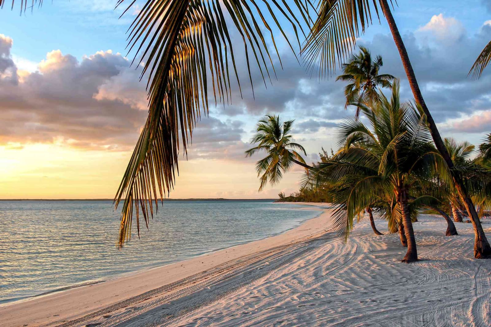 The Quiet Power of Andros: Where the Bahamas Still Feels Untouched