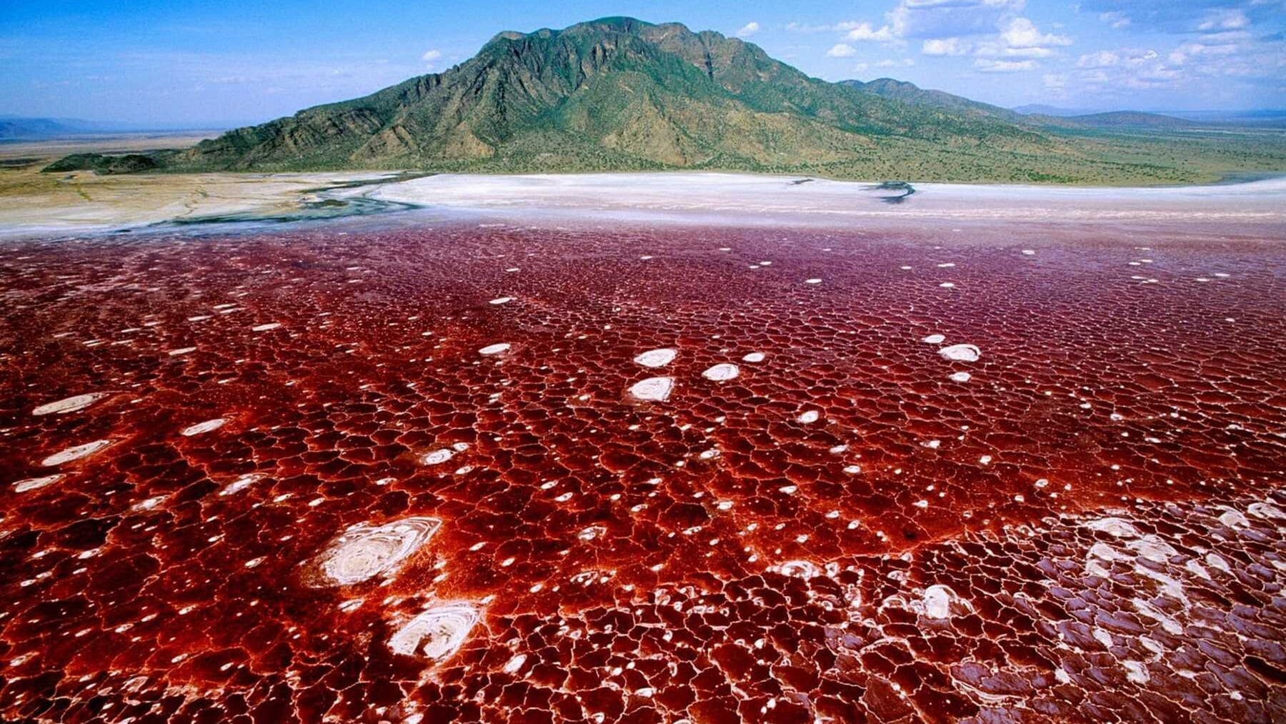 The Earth’s Landscapes That Feel Unreal, Yet Exist (Part 2)