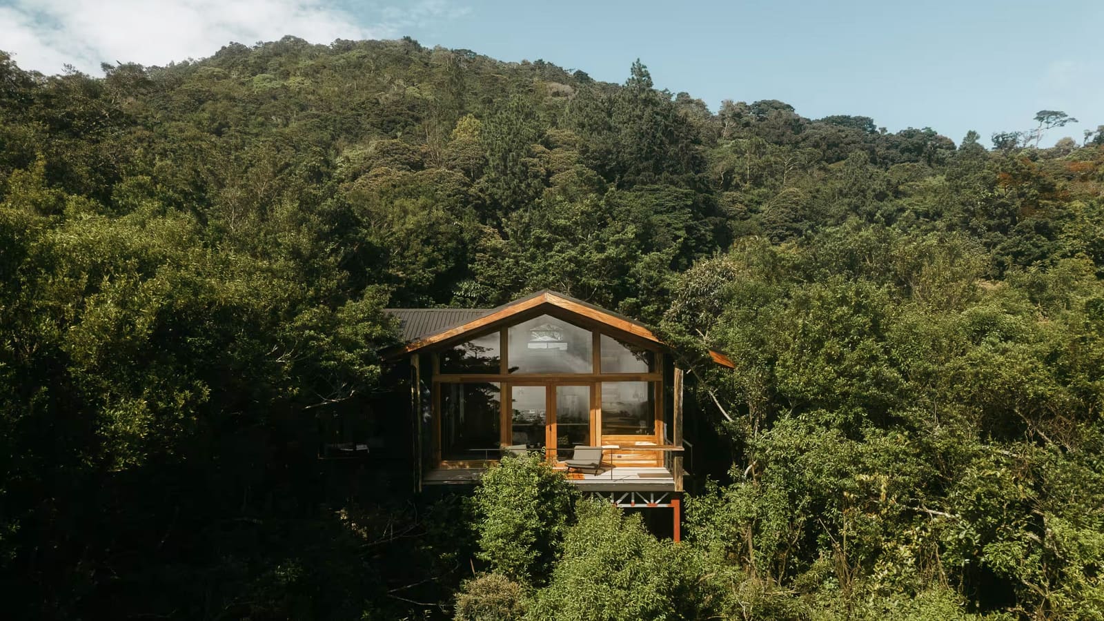 The Quiet Architecture of Sleeping in Trees
