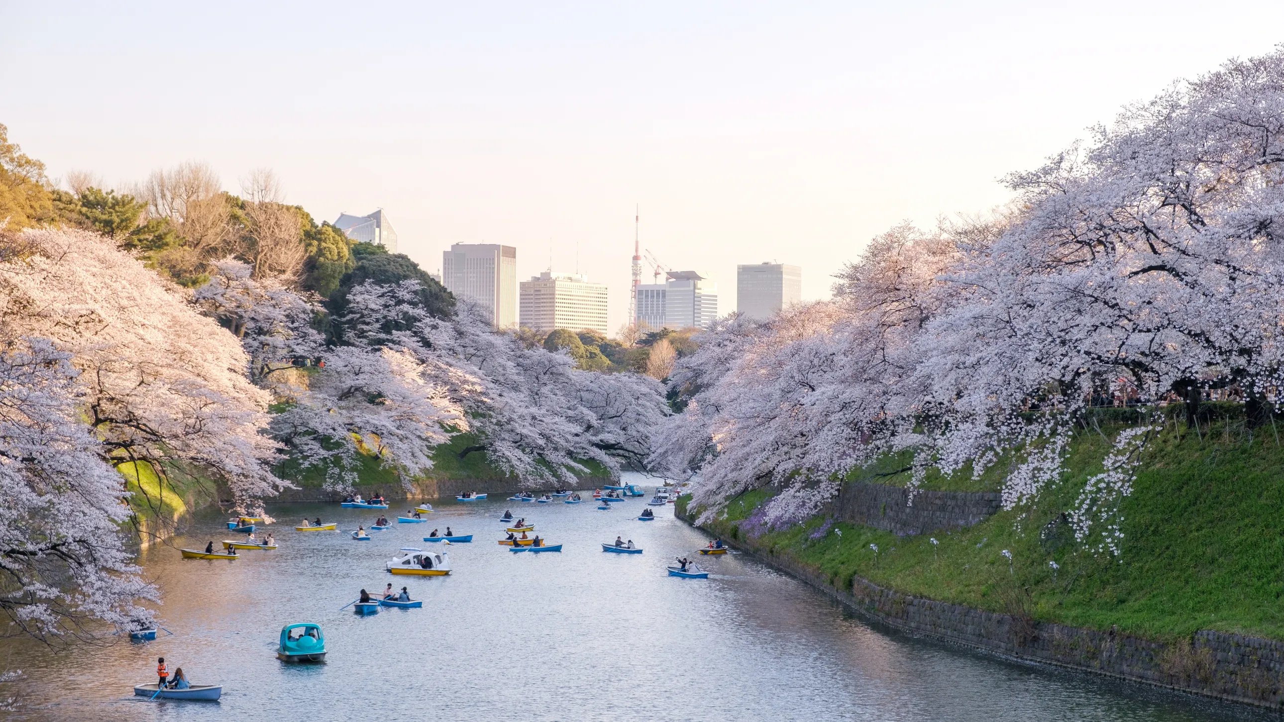 Travel By Calendar: A Smart Guide To The World’s Best And Cheapest Months