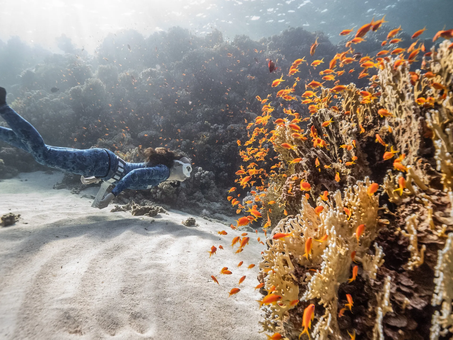 Free Diving As A Wellness Retreat: Where Breath Meets The Blue