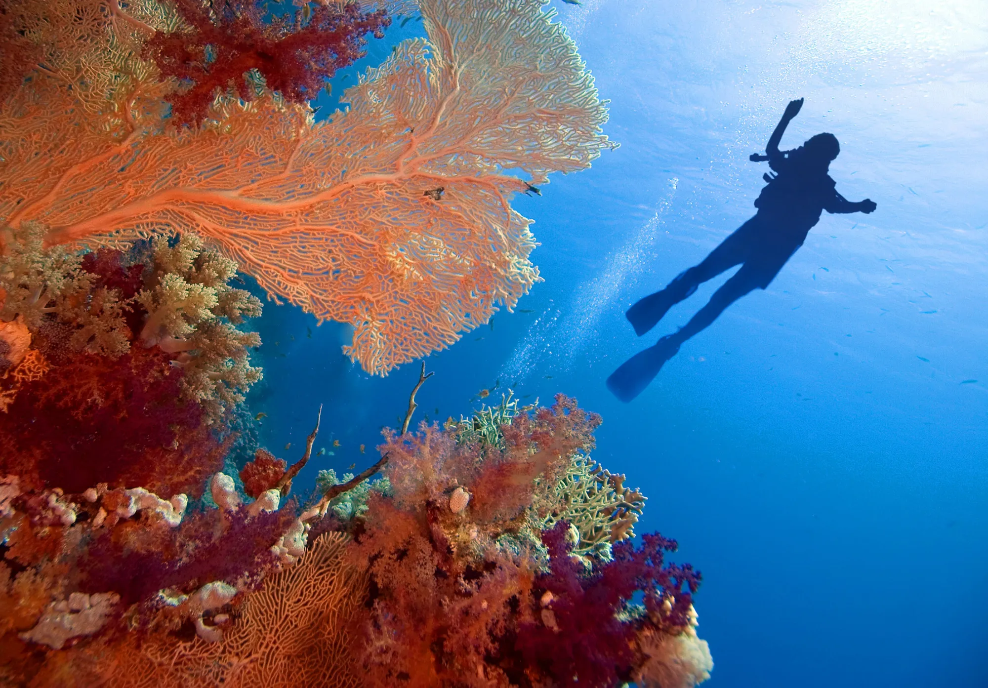 Red Sea Coast, Saudi Arabia: A New Chapter For Pristine Waters