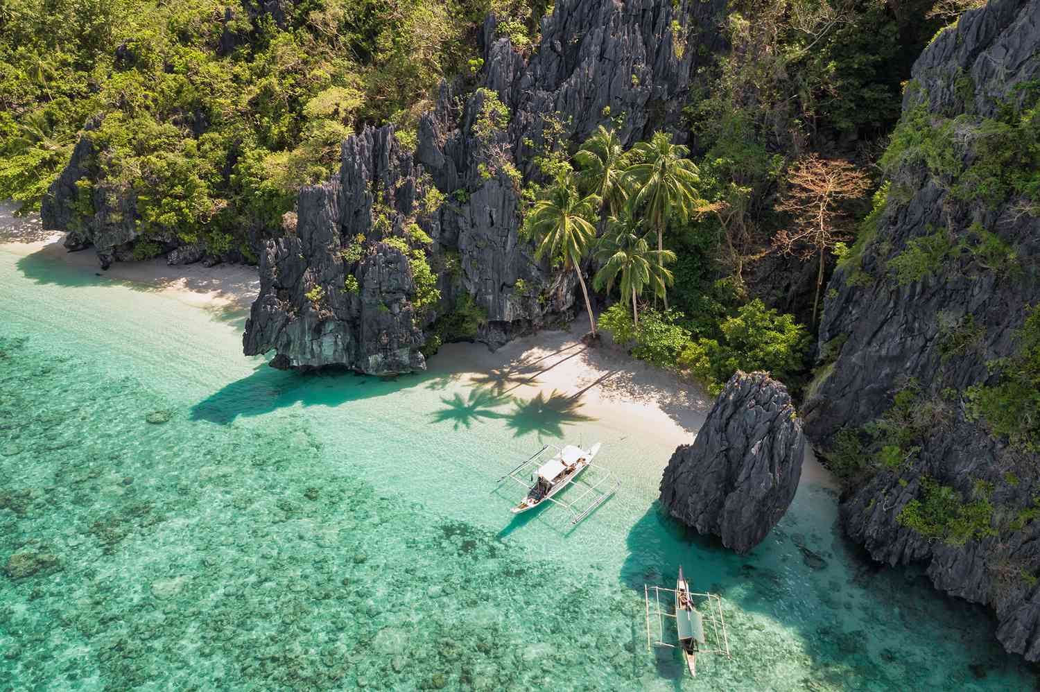 Free Diving As A Wellness Retreat: Where Breath Meets The Blue