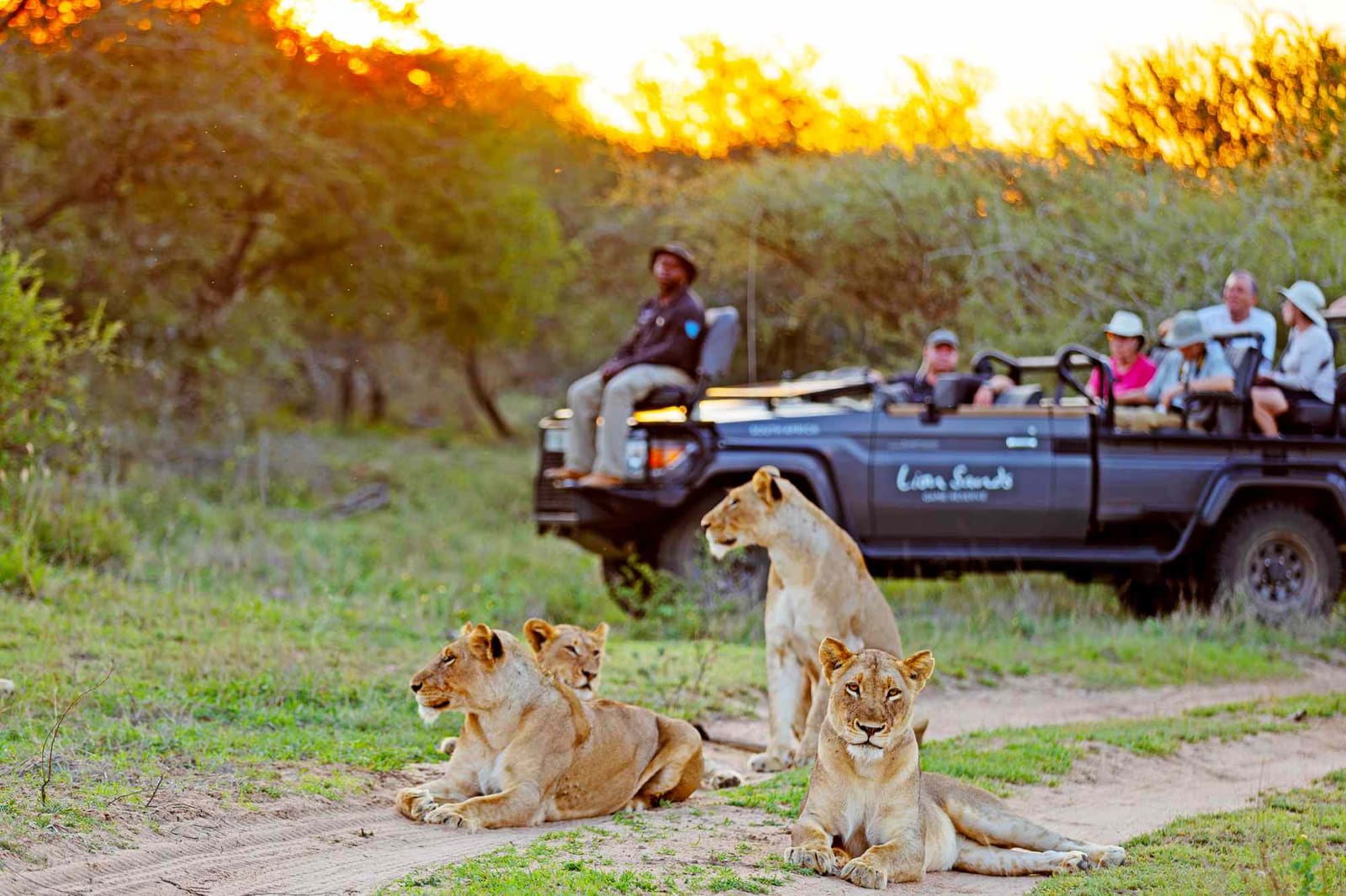 Inside the Sabi Sands Lodge That Redefined Safari Luxury