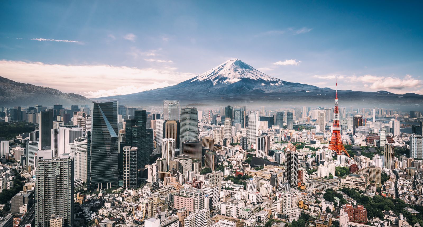 Tokyo Decoded: 15 Essential Things To Know Before You Go