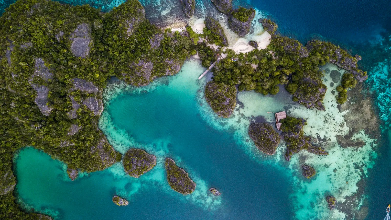 Raja Ampat, Indonesia: The Last Paradise For Ocean Lovers