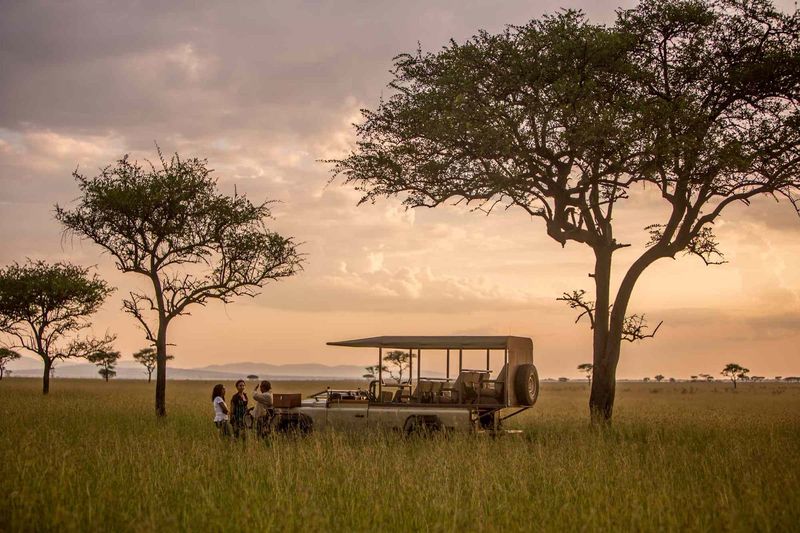 Where the Serengeti Keeps Its Secrets