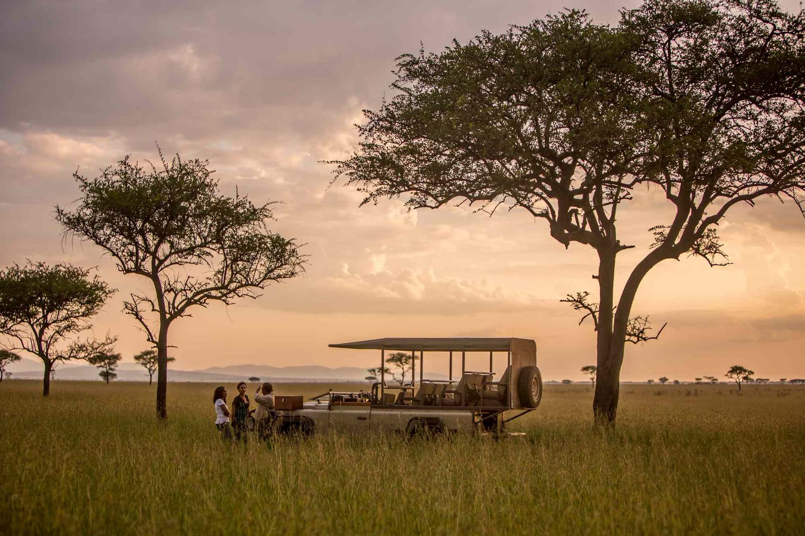 Where the Serengeti Keeps Its Secrets