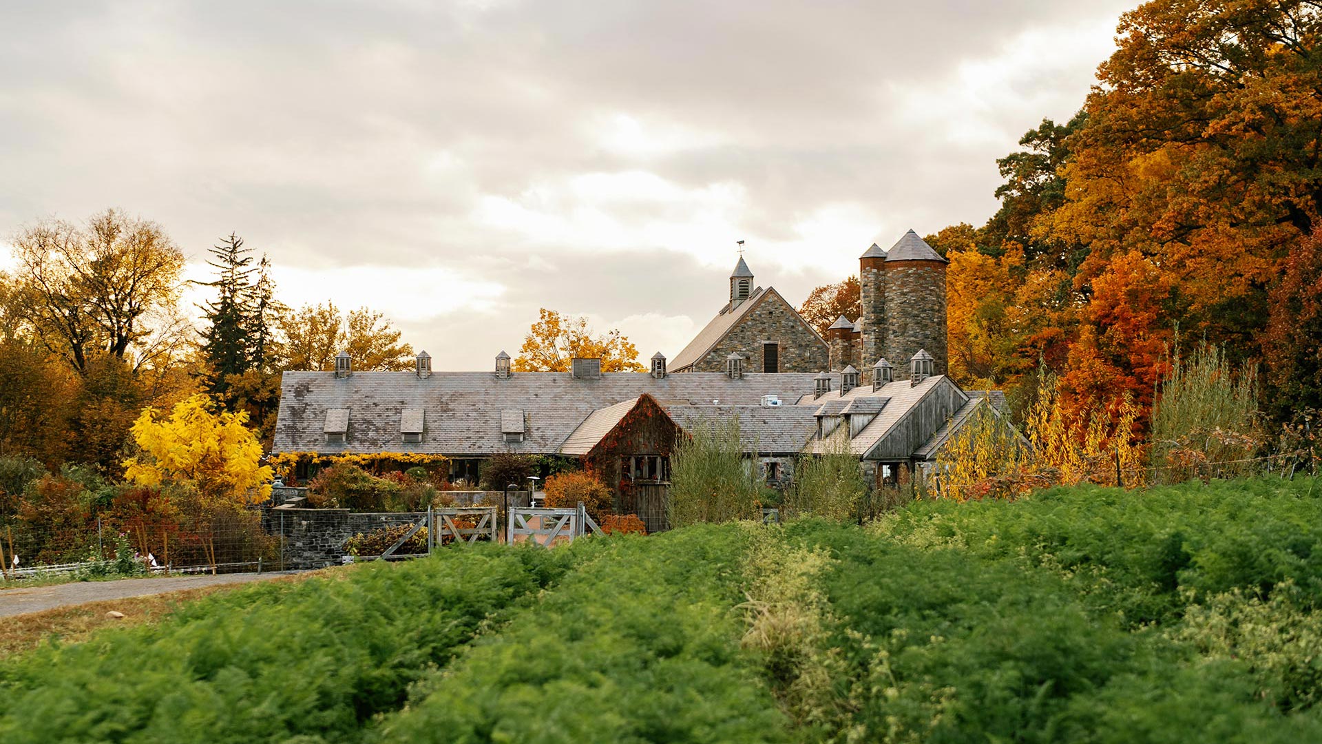 From Market To Michelin: The Journey Of Local Ingredients
