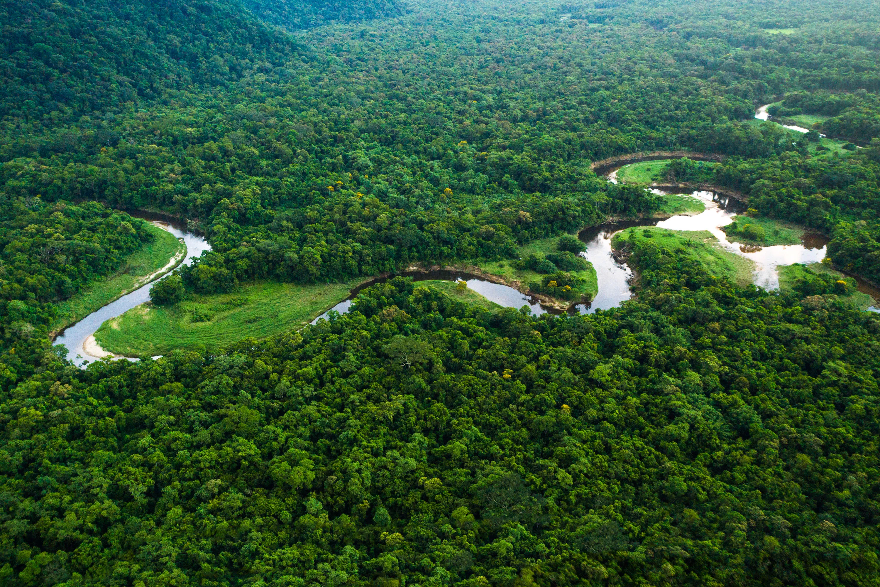 Forest Immersion: Destinations Rooted In Nature And Stillness