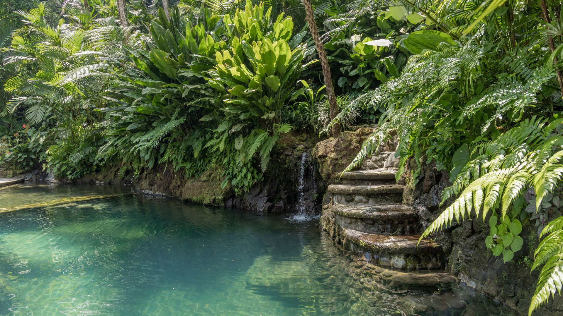 COMO Shambhala Estate: A Sanctuary Between Earth And Spirit