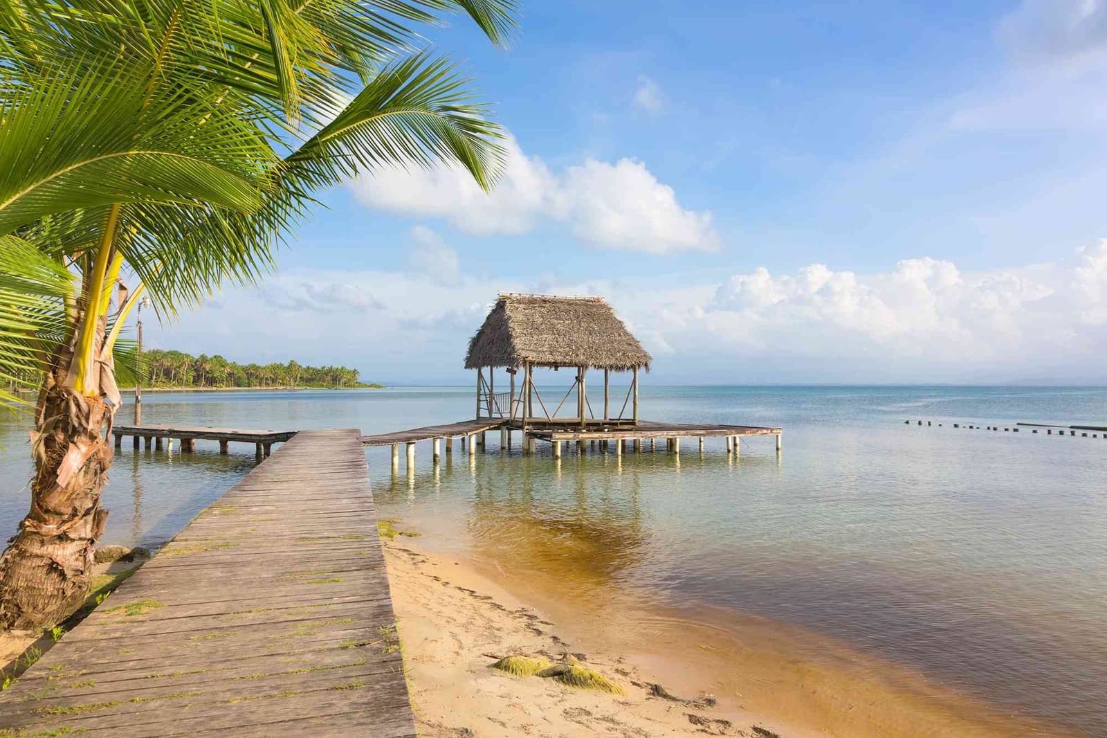 Where the Caribbean Slows Down: Inside Panama's Bocas del Toro