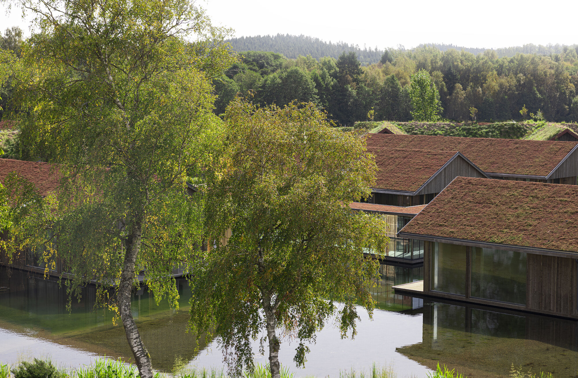 Sjöparken: A Quiet Retreat Where Lake, Forest, And Stillness Meet