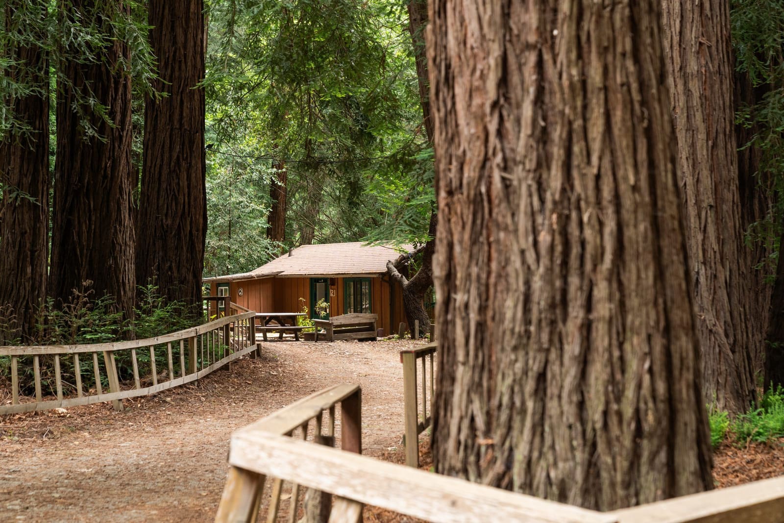 Where the Pacific Meets Permanence: A Season Among Big Sur's Hidden Stays