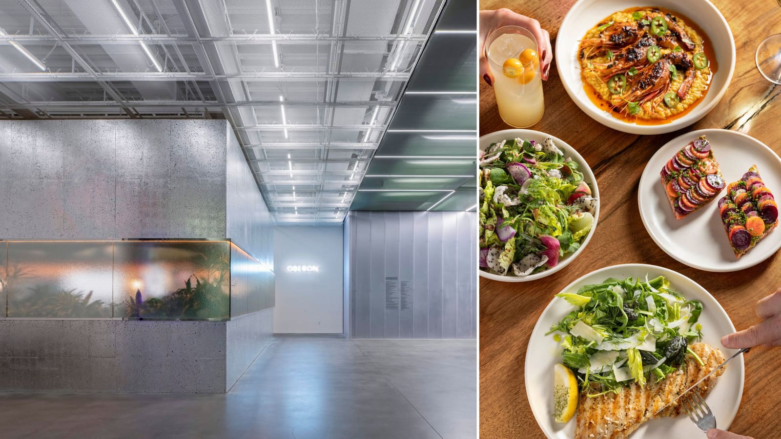 Where Art and Appetite Converge: Inside the New Museum's Cork-Wrapped Dining Room