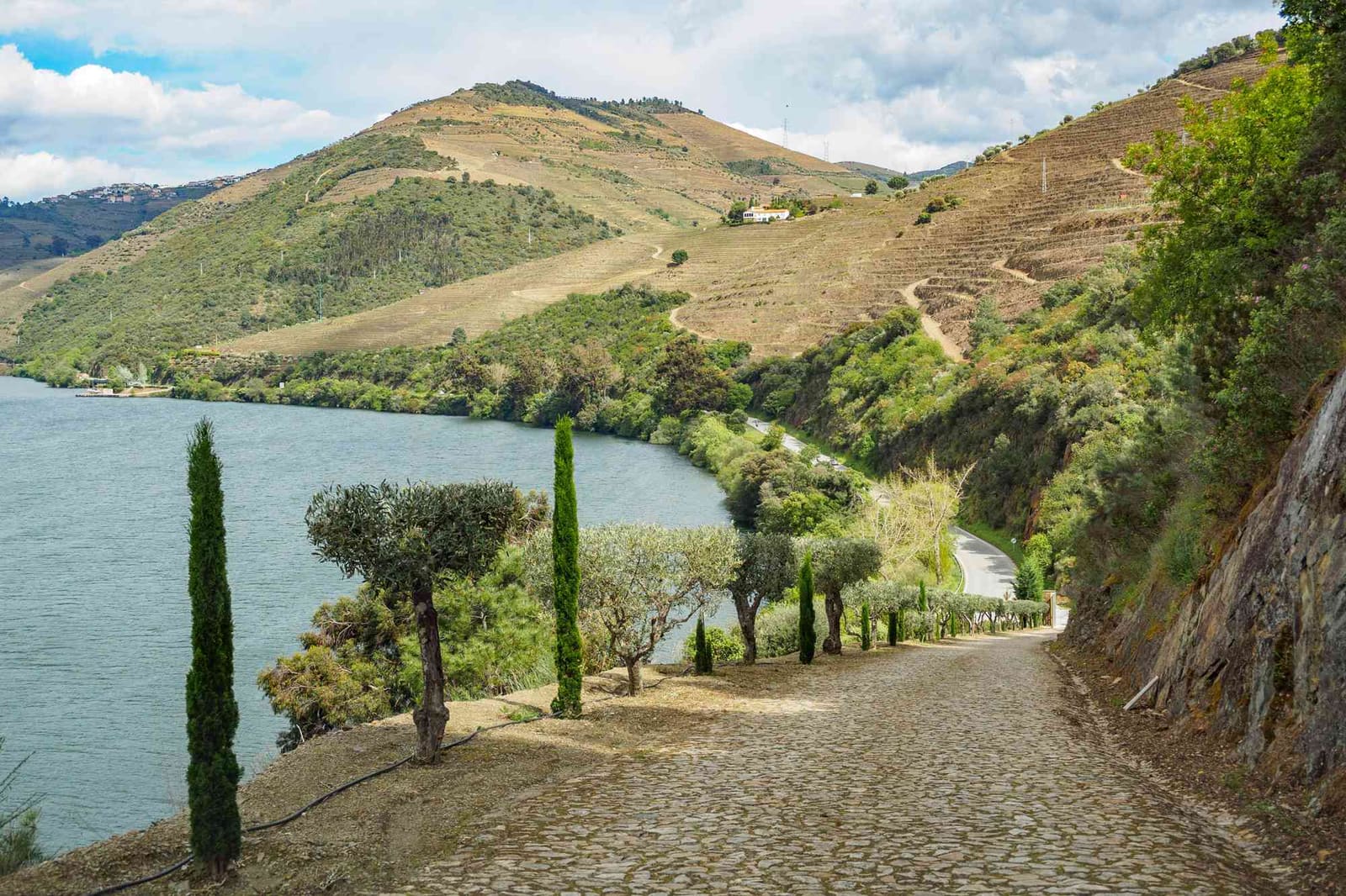 Where Terraced Vines Meet Ancient Rivers