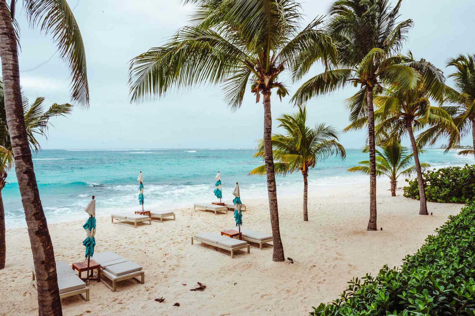 When Ten Experts Speak, the Islands Listen