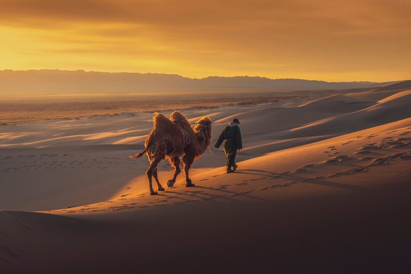 Gobi Desert, Mongolia: Where Silence Becomes The Landscape