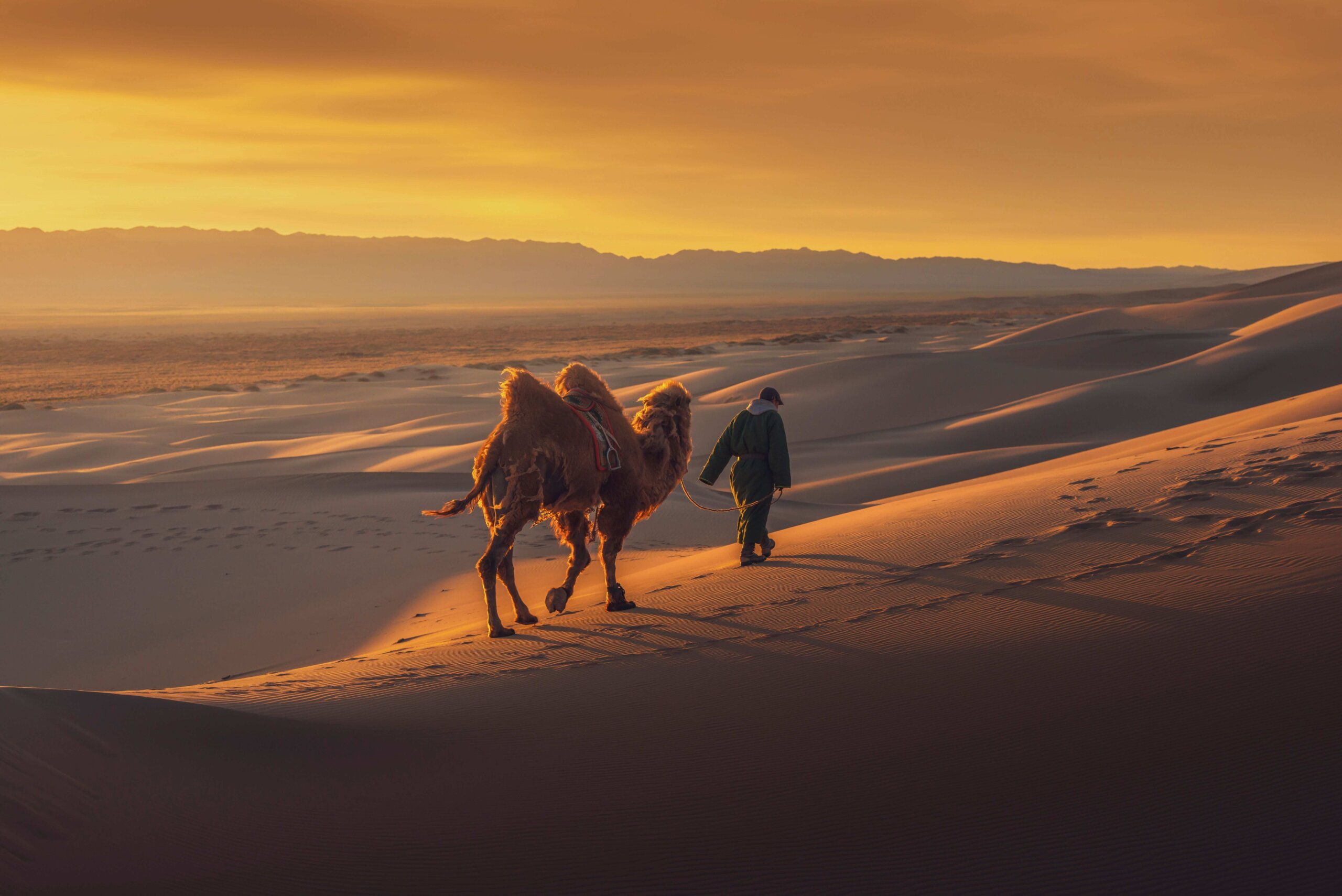 Gobi Desert, Mongolia: Where Silence Becomes The Landscape