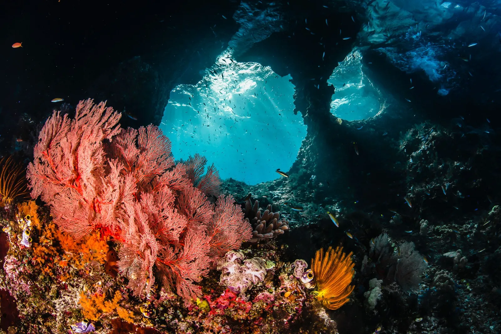 Raja Ampat, Indonesia: The Last Paradise For Ocean Lovers