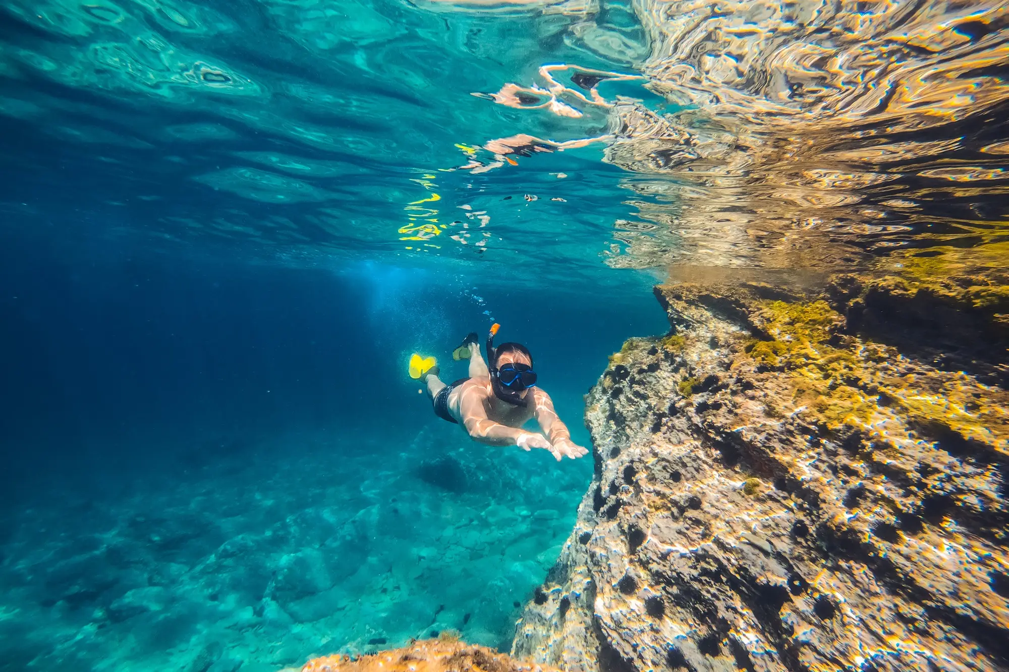 Free Diving As A Wellness Retreat: Where Breath Meets The Blue