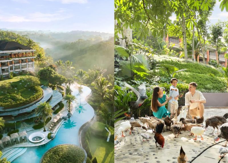 Where Jungle Meets Joy: Six Bali Resorts That Understand Family Travel