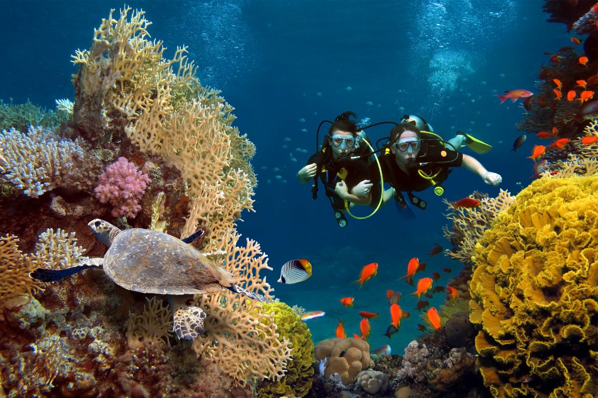 Free Diving As A Wellness Retreat: Where Breath Meets The Blue