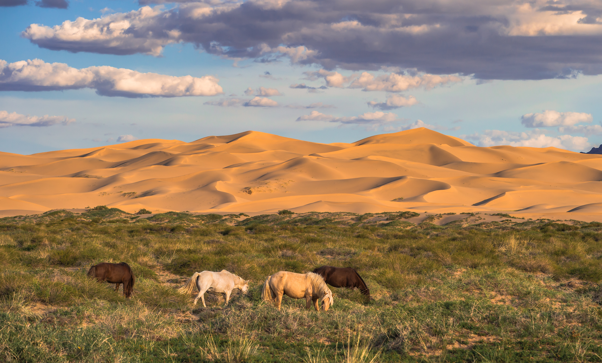 Gobi Desert, Mongolia: Where Silence Becomes The Landscape
