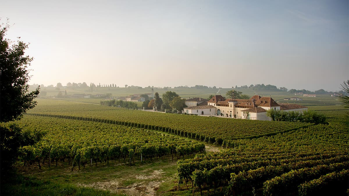 The Eighth Generation: A Bordeaux Legacy Finds Its New Voice