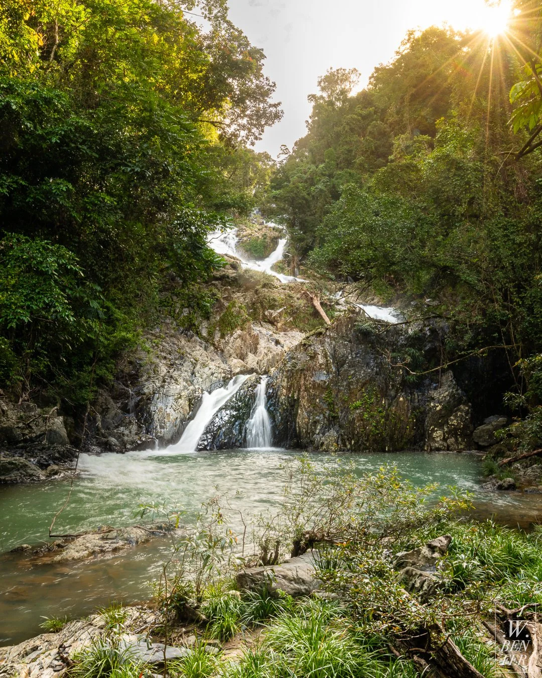Forest Immersion: Destinations Rooted In Nature And Stillness