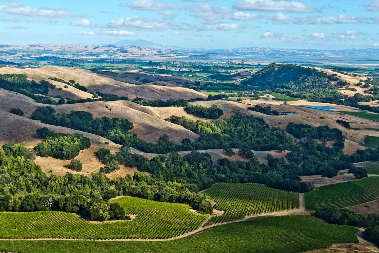 Where Wine Country Meets the Wild Edge of California